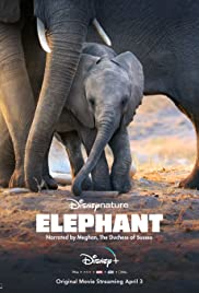 Elefante trilha sonora